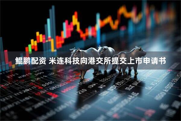 鲲鹏配资 米连科技向港交所提交上市申请书