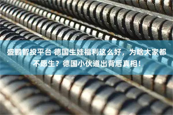 盛鹏智投平台 德国生娃福利这么好，为啥大家都不愿生？德国小伙道出背后真相！