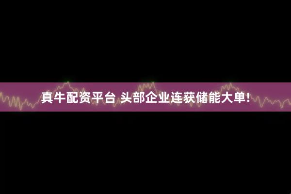 真牛配资平台 头部企业连获储能大单!